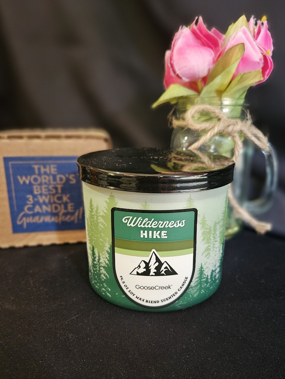NWT Goose Creek Wilderness Hike 3-Wick Candle - Green and White